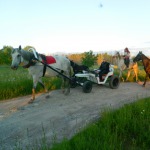 Rides by a cart